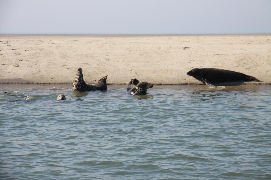 Camping De Brem Renesse Zewnętrze zdjęcie