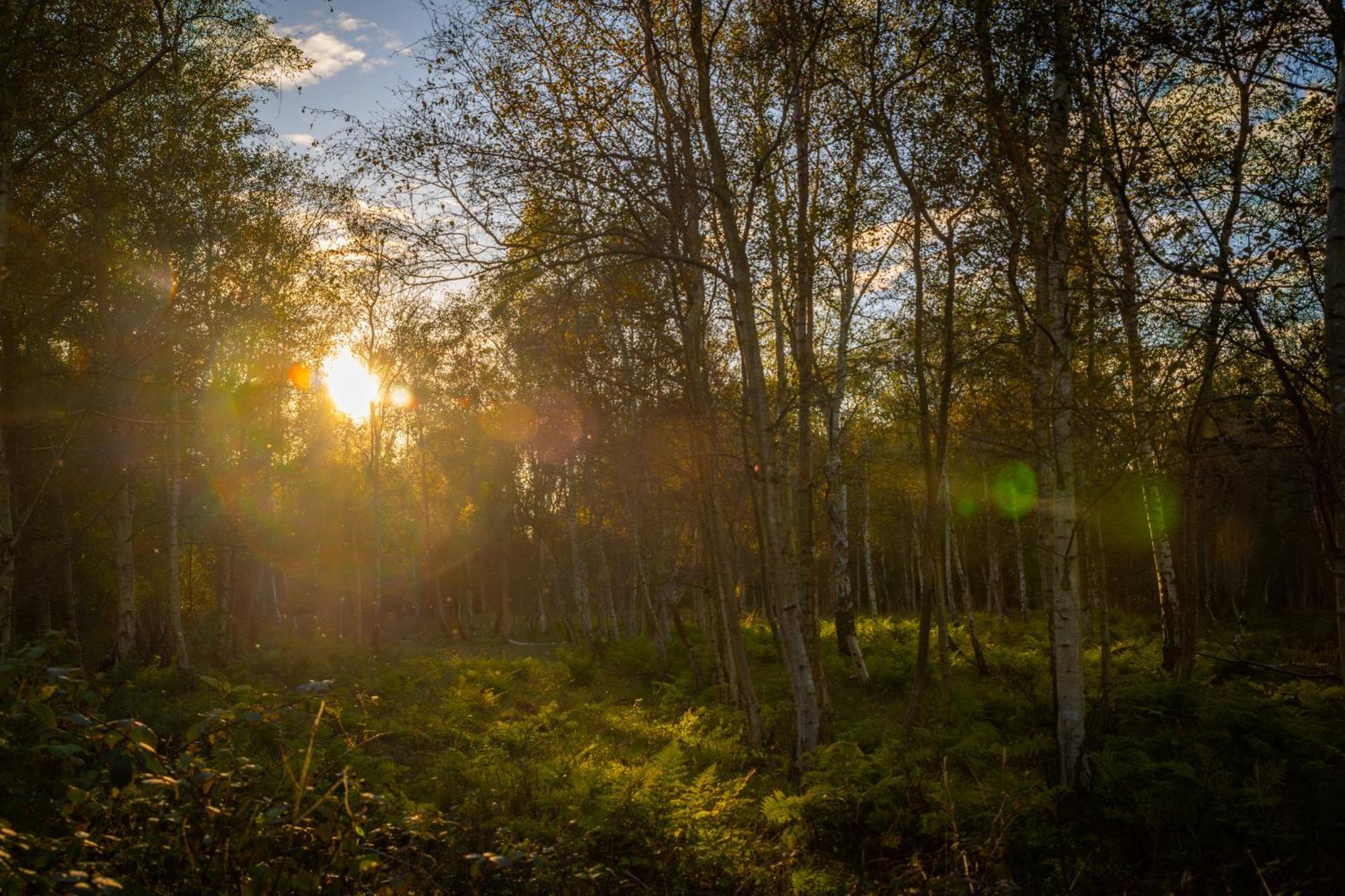 Camping De Brem Renesse Zewnętrze zdjęcie